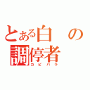 とある白の調停者（カピバラ）