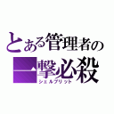 とある管理者の一撃必殺（シェルブリット）