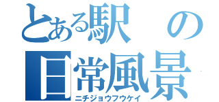 とある駅の日常風景（ニチジョウフウケイ）