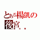 とある楊凱の後宮（漂白篇）