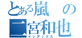 とある嵐の二宮和也（インデックス）