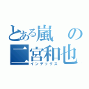 とある嵐の二宮和也（インデックス）