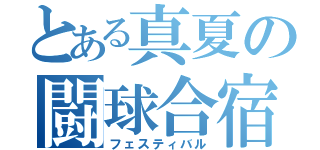 とある真夏の闘球合宿（フェスティバル）