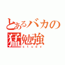 とあるバカの猛勉強（ｓｔｕｄｙ）