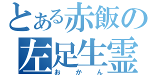 とある赤飯の左足生霊（おかん）