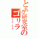 とある研究室のゴリラ（ゴリラ・ゴリラ）