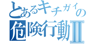 とあるキチガイの危険行動Ⅱ（）