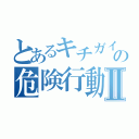 とあるキチガイの危険行動Ⅱ（）