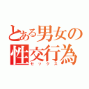 とある男女の性交行為（セックス）