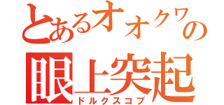 とあるオオクワ亜種の眼上突起（ドルクスコブ）