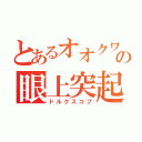 とあるオオクワ亜種の眼上突起（ドルクスコブ）