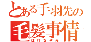 とある手羽先の毛髪事情（はげなやみ）