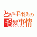 とある手羽先の毛髪事情（はげなやみ）