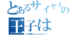 とあるサイヤ人の王子は（この俺だぁぁぁぁぁー！）