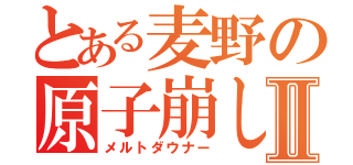 とある麦野の原子崩しⅡ（メルトダウナー）