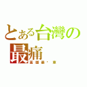 とある台灣の最痛（高雄最靚車）