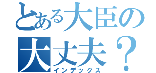 とある大臣の大丈夫？（インデックス）