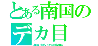 とある南国のデカ目（出目金、半漁人、ツケマと渾名される）