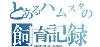 とあるハムスターの飼育記録（Ｂｒｅｅｄｉｎｇ ｉｓ ｒｅｃｏｒｄｅｄ．）