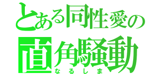 とある同性愛の直角騒動（なるしま）