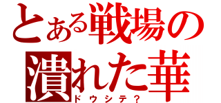 とある戦場の潰れた華（ドウシテ？）