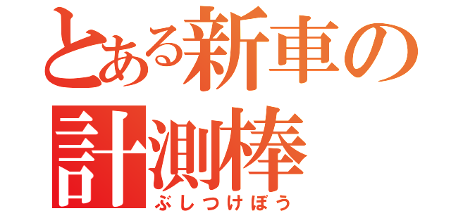 とある新車の計測棒（ぶしつけぼう）