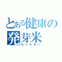 とある健康の発芽米（はつがまい）