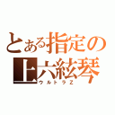 とある指定の上六絃琴（ウルトラＺ）