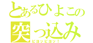 とあるひよこの突っ込み（ピヨッピヨッ！）