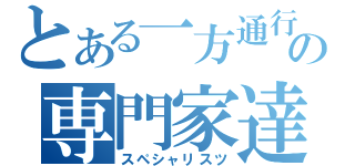 とある一方通行の専門家達（スペシャリスツ）