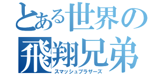 とある世界の飛翔兄弟（スマッシュブラザーズ）