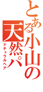 とある小山の天然パ（ナチュラルヘア）