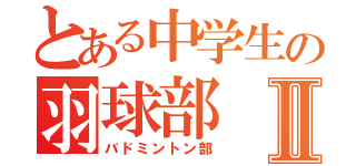 とある中学生の羽球部Ⅱ（バドミントン部）