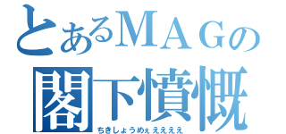 とあるＭＡＧの閣下憤慨（ちきしょうめぇええええ）