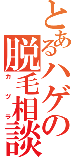 とあるハゲの脱毛相談（カツラ）