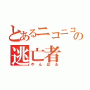 とあるニコニコの逃亡者（やんばる）