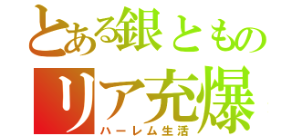 とある銀とものリア充爆発（ハーレム生活）