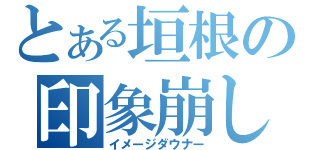 とある垣根の印象崩し（イメージダウナー）