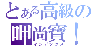 とある高級の呷尚寶！！（インデックス）