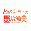 とあるシラスの栽培漁業（リバイブフィッシュ）