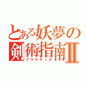 とある妖夢の剣術指南Ⅱ（プラクティス）