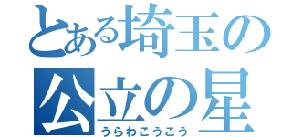 とある埼玉の公立の星（うらわこうこう）