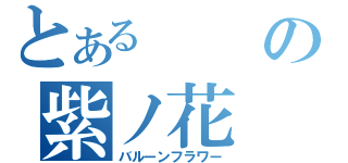 とあるの紫ノ花（バルーンフラワー）