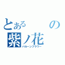 とあるの紫ノ花（バルーンフラワー）