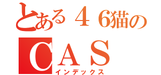 とある４６猫のＣＡＳ（インデックス）