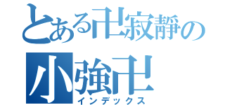 とある卍寂靜の小強卍（インデックス）