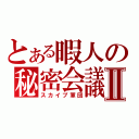 とある暇人の秘密会議Ⅱ（スカイプ軍団）