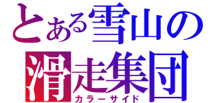 とある雪山の滑走集団（カラーサイド）