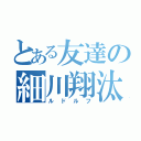 とある友達の細川翔汰（ルドルフ）