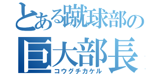 とある蹴球部の巨大部長（コウグチカケル）